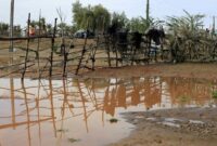 خسارات سیل به کشاورزان کروچان پرداخت می شود