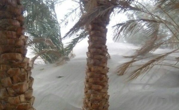 طوفان شن در راه کرمان/ گرد و غبار شدید در شرق استان