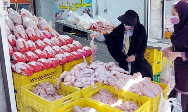 قیمت گوشت مرغ همچنان کمتر از نرخ مصوب در بازار