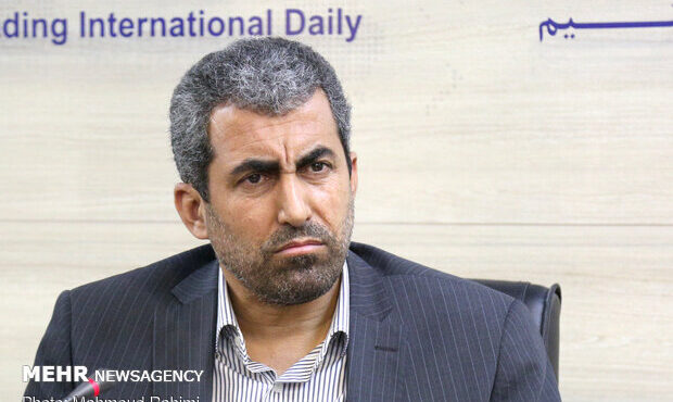 رئیس کمیسیون اقتصادی مجلس: ۴۰ درصد از ظرفیت معادن کشور در استان کرمان وجود دارد