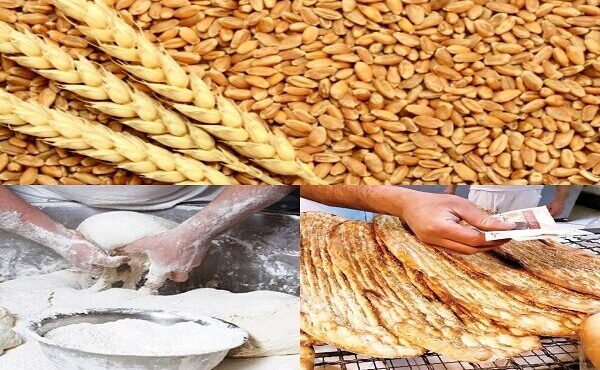 نانوایان استان کرمان آموزش می‌بینند