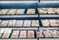 افزایش تولید گوشت مرغ در ماه‌های اخیر/ مرغ ۱۰۰ هزار تومانی، گران فروشی است