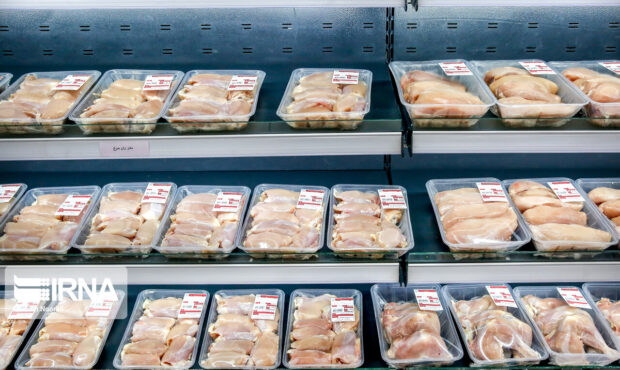 افزایش تولید گوشت مرغ در ماه‌های اخیر/ مرغ ۱۰۰ هزار تومانی، گران فروشی است