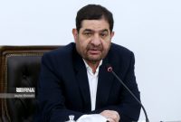 تعویق جلسه شورای مناطق آزاد و لغو یک انتصاب به دستور مخبر