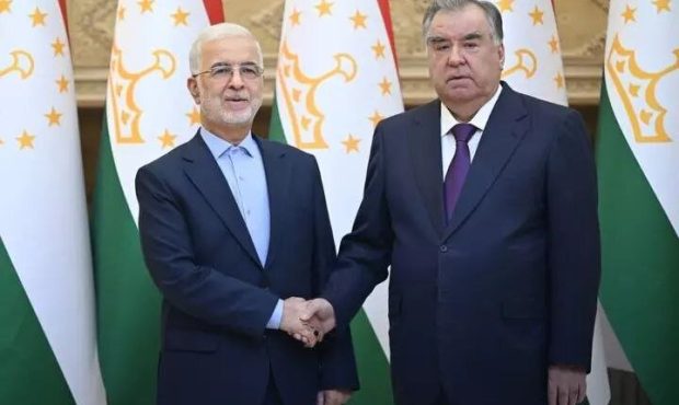 دیدار وزیر کشور با رئیس جمهور تاجیکستان