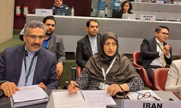 برگزاری نشست کشورهای عضو سه کنوانسیون محیط زیستی با حضور نمایندگان ایران در ژنو برگزاری نشست کشورهای عضو سه کنوانسیون محیط زیستی با حضور نمایندگان ایران در ژنو