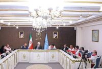 اژهای: تعیین حدود مسئولیتها در بحرانها ضروری است اژهای: تعیین حدود مسئولیتها در بحرانها ضروری است