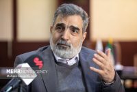 هشدار کمالوندی به شورای حکام: روز اقدام، روز واکنش است هشدار کمالوندی به شورای حکام: روز اقدام، روز واکنش است