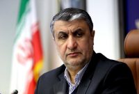 اسلامی: ازسرگیری بازرسی‌ها مشروط به اتخاذ «تدابیر ویژه» است