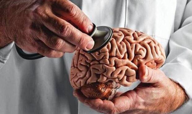 نکات مهم برای داشتن مغز جوانتر نکات مهم برای داشتن مغز جوانتر