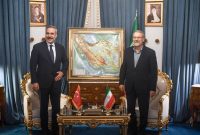 وزیر امور خارجه ترکیه با علی لاریجانی دیدار و گفت وگو کرد