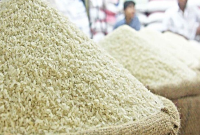 صعود برنج سقوط معیشت؛ از حذف ارز دولتی تا تهدید سفره خانوارها