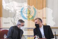وزیر امورخارجه: باقری با جدیت به مذاکرات برای لغو تحریم‌ها ادامه می‌دهد