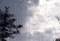 بارندگی از روز سه شنبه در کرمان آغاز می شود