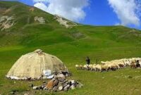 برگزاری جشن بزرگ روستایی وعشایری استان کرمان با “شعارایران استوار۴۴ سال افتخار”