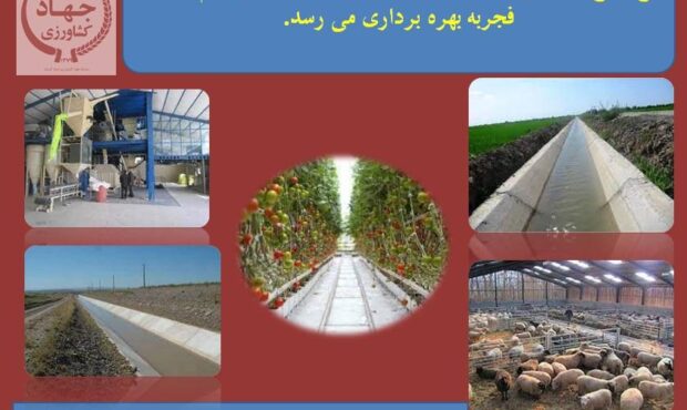 پنج طرح کشاورزی و دامپروری شهرستان بردسیر درایام الله دهه فجربه بهره برداری می رسد.