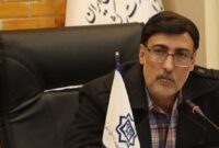 رئیس دانشگاه علوم پزشکی کرمان: ۸۰ درصد مراجعه کنندگان مراکز بهداشتی کرمان اتباع خارجی هستند