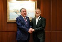 رئیس‌جمهور پزشکیان: روابط ایران و تاجیکستان با تکیه بر اشتراکات به شکل رضایت‌بخشی در حال ارتقاست