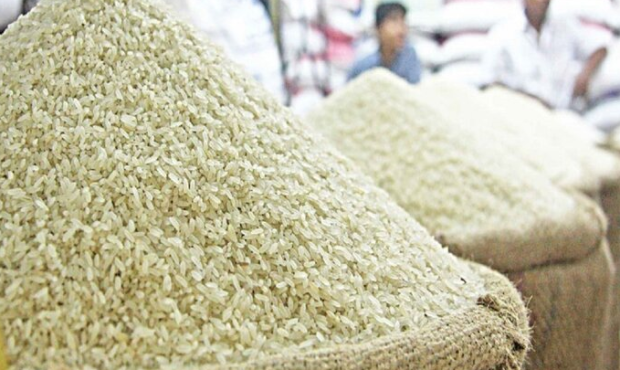 صعود برنج سقوط معیشت؛ از حذف ارز دولتی تا تهدید سفره خانوارها